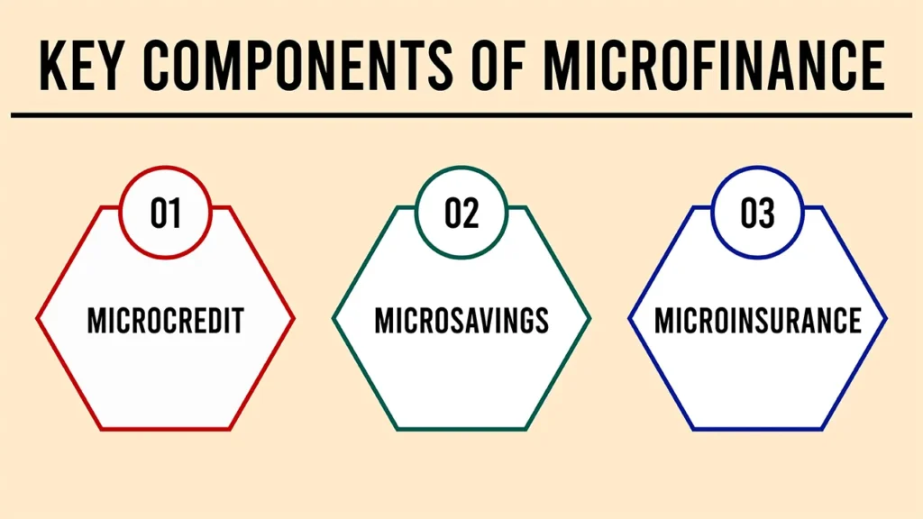 Microfinance Definition: Benefits, History, and How It Works